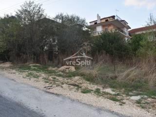 ΑΠΟΨΗ ΟΙΚΟΠΕΔΟΥ