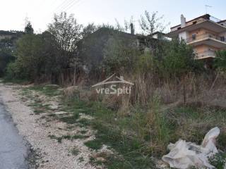 ΑΠΟΨΗ ΟΙΚΟΠΕΔΟΥ