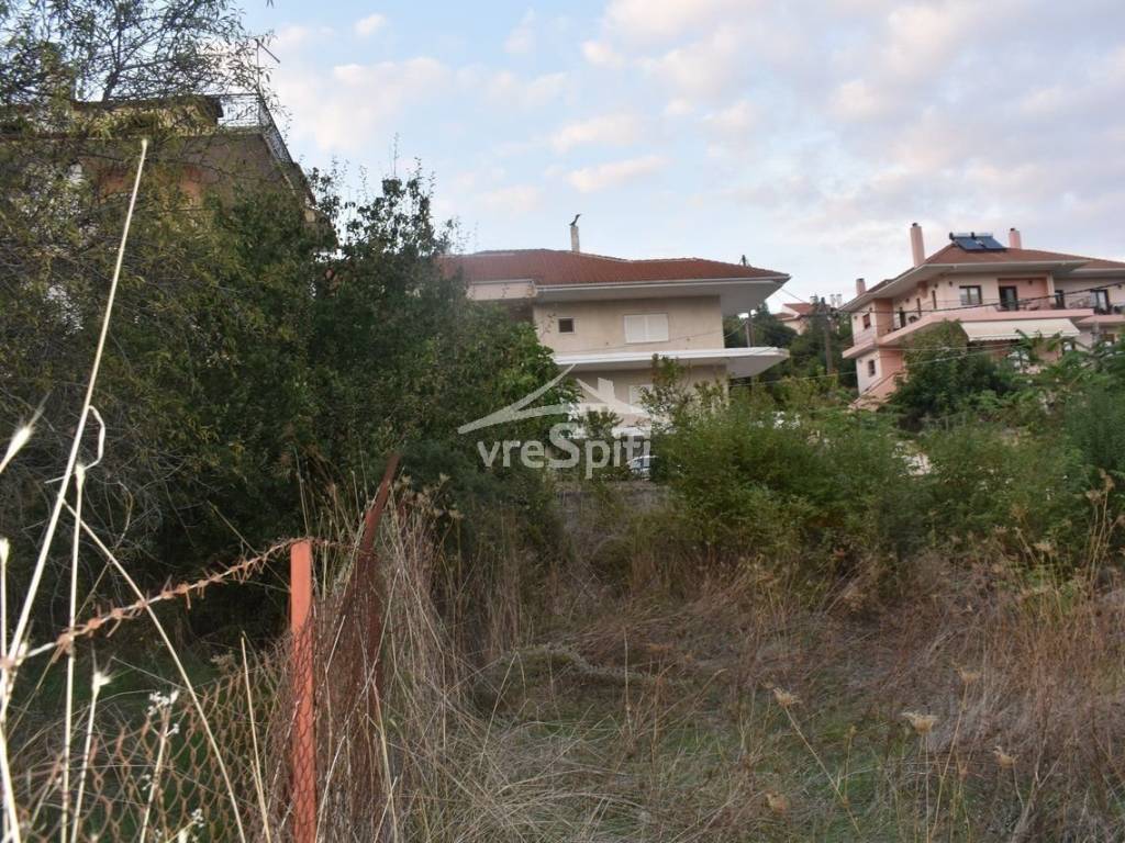 ΑΠΟΨΗ ΟΙΚΟΠΕΔΟΥ