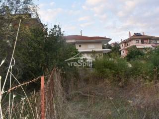 ΑΠΟΨΗ ΟΙΚΟΠΕΔΟΥ