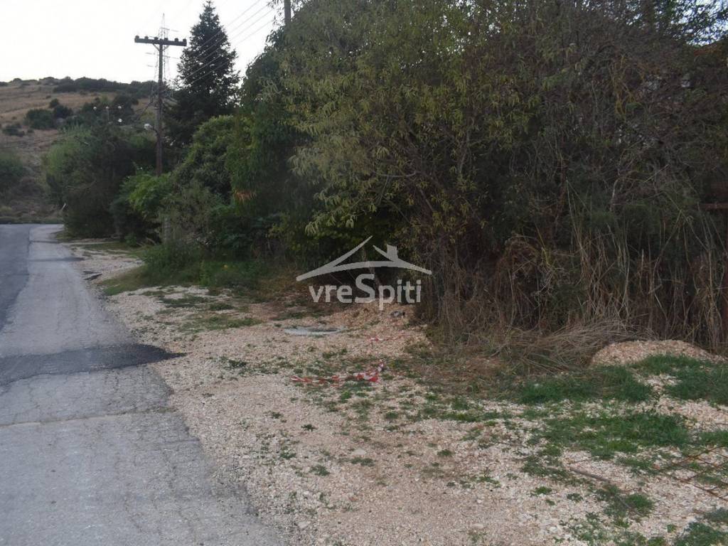 ΑΠΟΨΗ ΟΙΚΟΠΕΔΟΥ