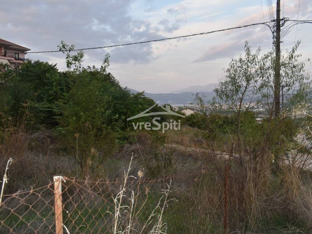 ΑΠΟΨΗ ΟΙΚΟΠΕΔΟΥ