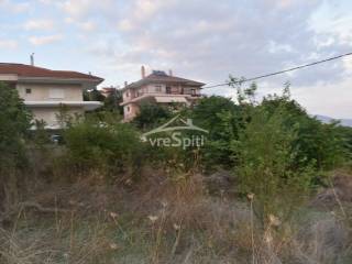 ΑΠΟΨΗ ΟΙΚΟΠΕΔΟΥ