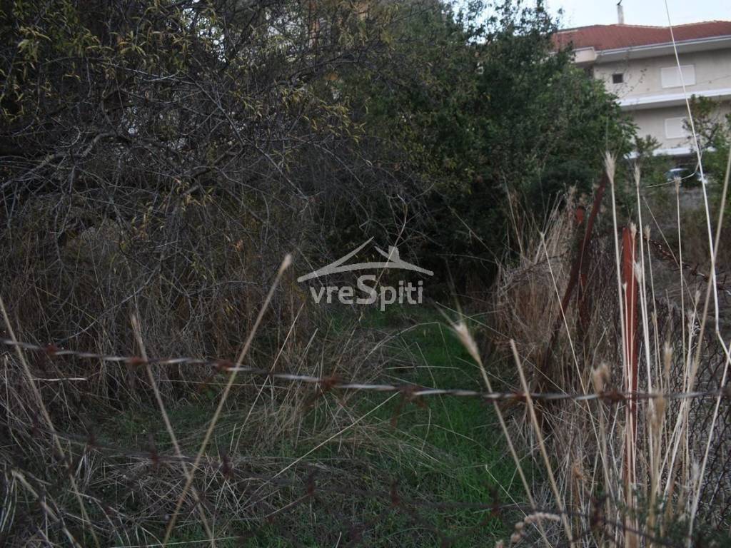 ΑΠΟΨΗ ΟΙΚΟΠΕΔΟΥ