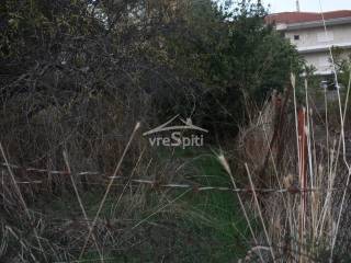 ΑΠΟΨΗ ΟΙΚΟΠΕΔΟΥ