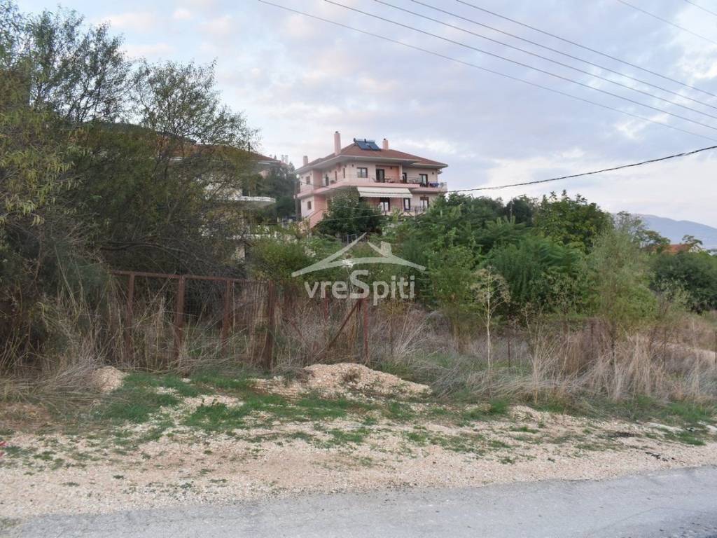 ΑΠΟΨΗ ΟΙΚΟΠΕΔΟΥ