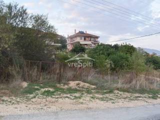 ΑΠΟΨΗ ΟΙΚΟΠΕΔΟΥ