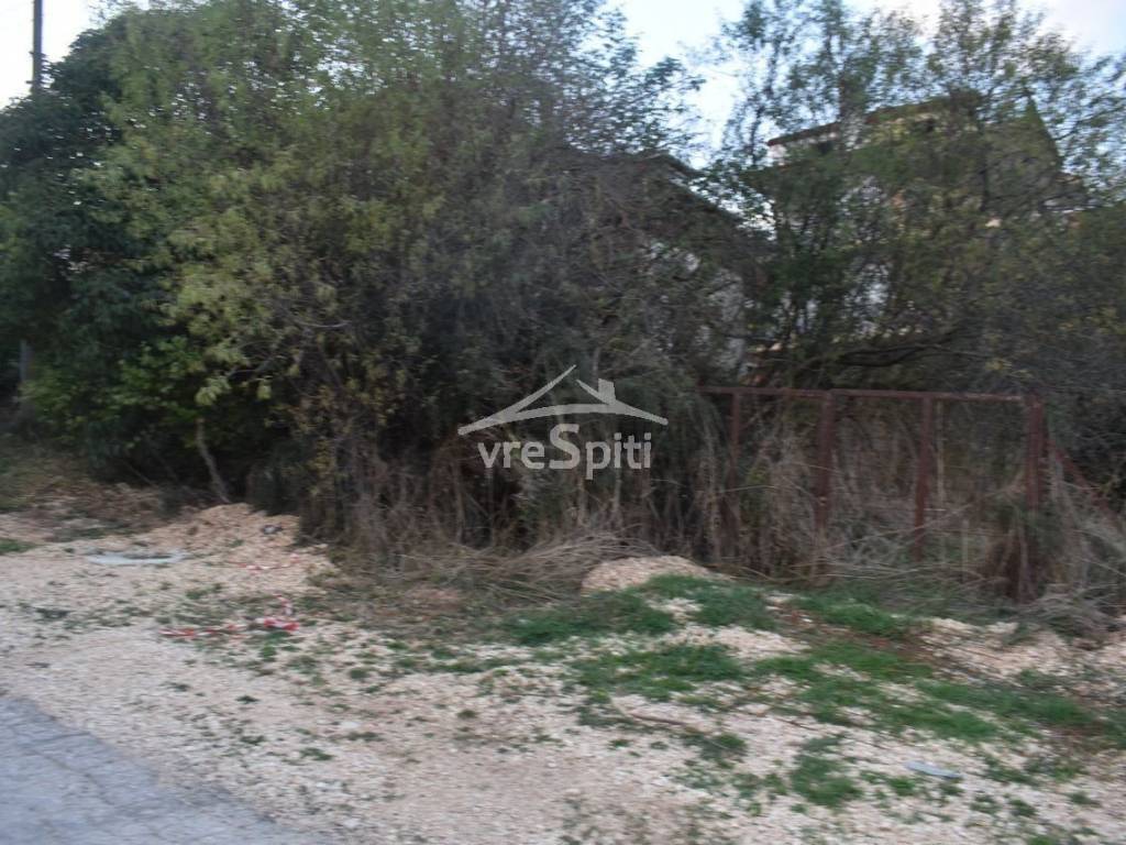 ΑΠΟΨΗ ΟΙΚΟΠΕΔΟΥ