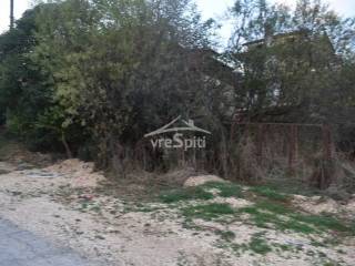 ΑΠΟΨΗ ΟΙΚΟΠΕΔΟΥ