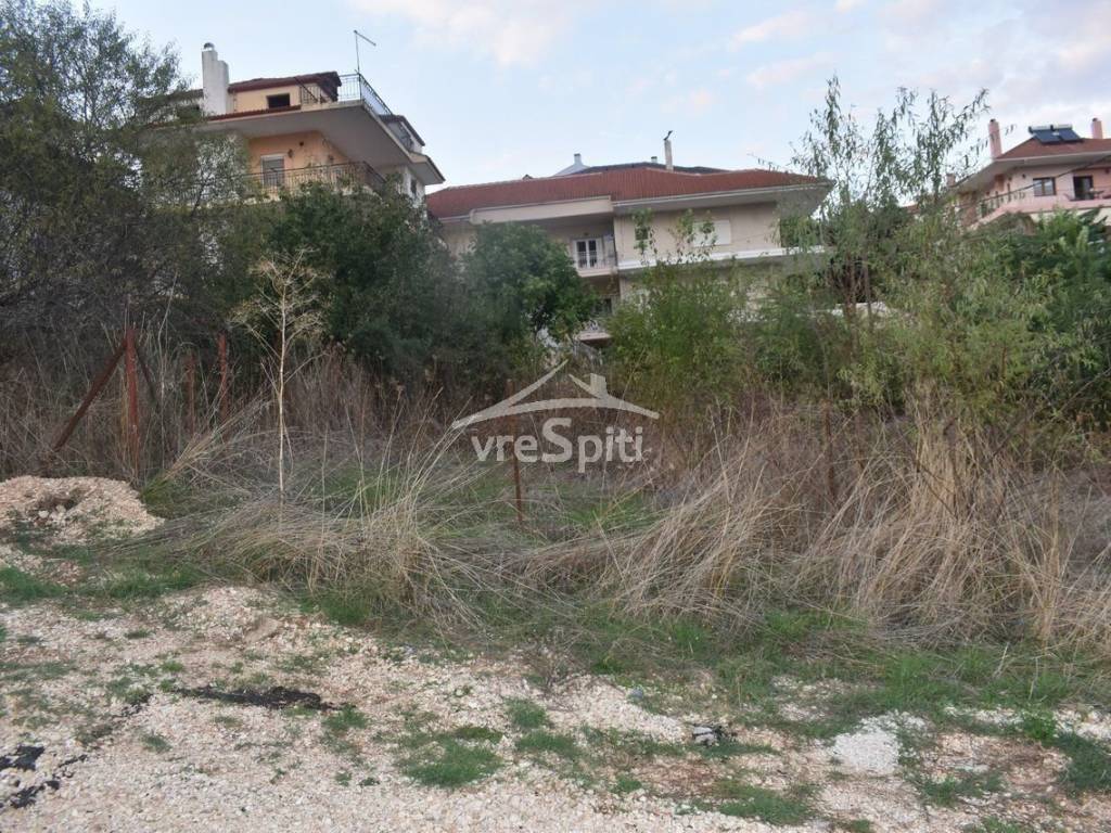 ΑΠΟΨΗ ΟΙΚΟΠΕΔΟΥ