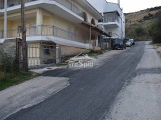 ΑΠΟΨΗ ΟΙΚΟΠΕΔΟΥ