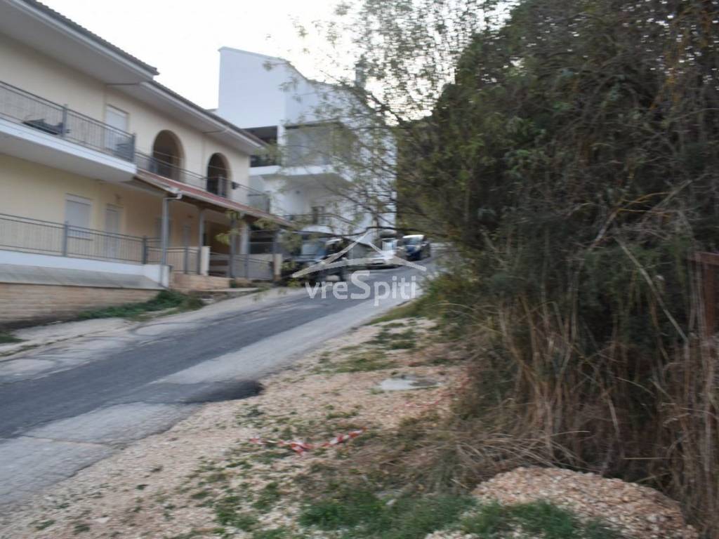 ΑΠΟΨΗ ΟΙΚΟΠΕΔΟΥ