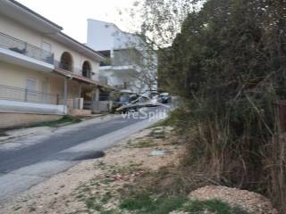 ΑΠΟΨΗ ΟΙΚΟΠΕΔΟΥ