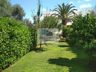 VIEW OF THE GARDEN