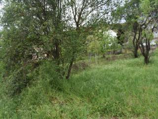 ΑΠΟΨΗ ΟΙΚΟΠΕΔΟΥ