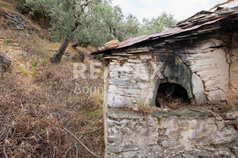 Ύπαρξη ανθρώπου