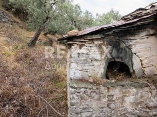 Ύπαρξη ανθρώπου