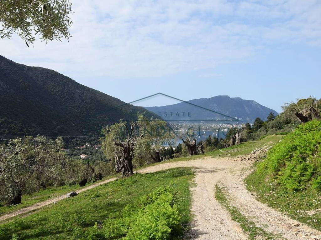 E kataplektike thea apo to agrotemachio