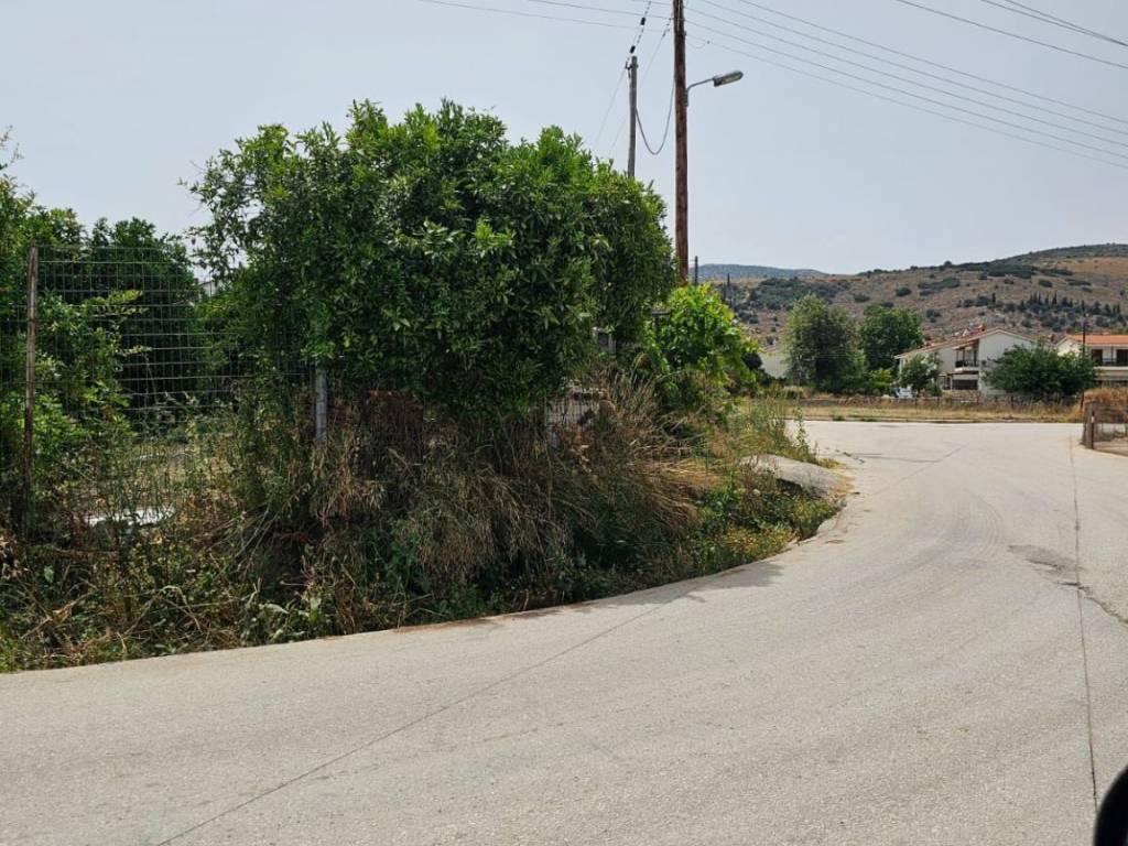 Plot of land within a settlement in the Municipality of Argo