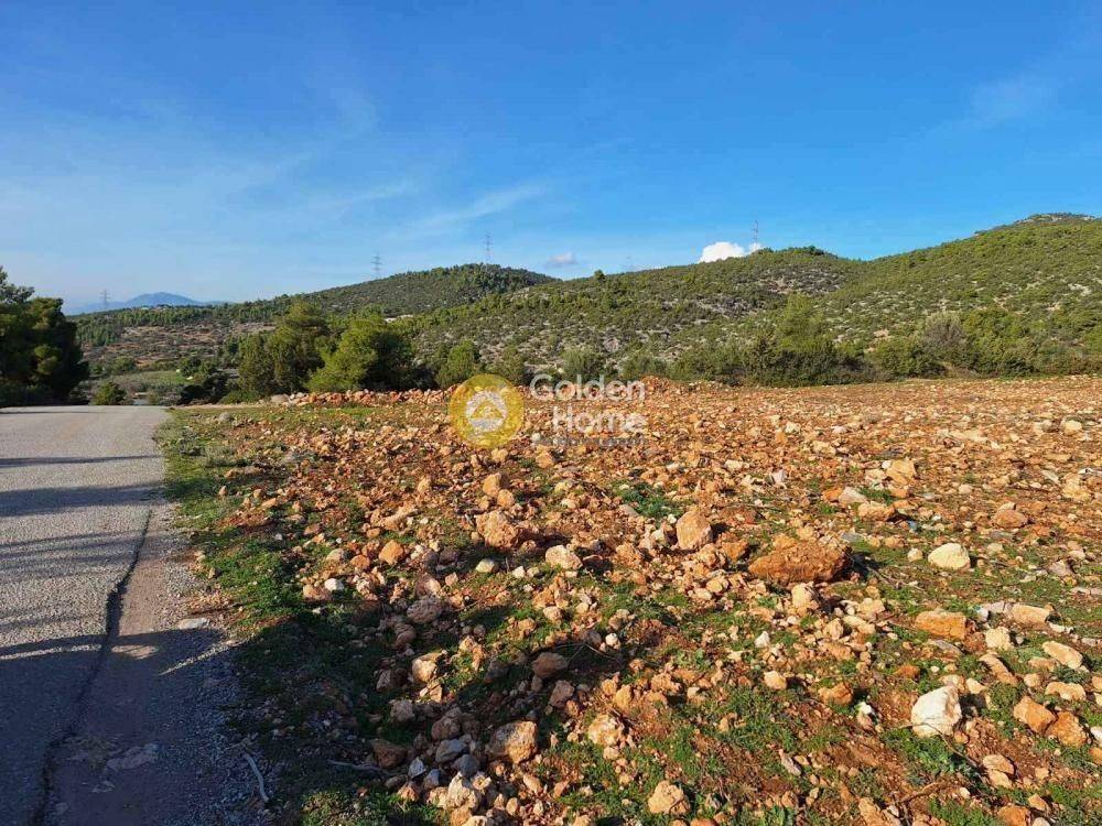 Κυρίως Χώρος