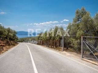 αγροτεμάχιο