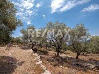 αγροτεμάχιο