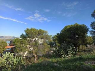 ΤΜΗΜΑ ΤΟΥ ΟΙΚΟΠΕΔΟΥ