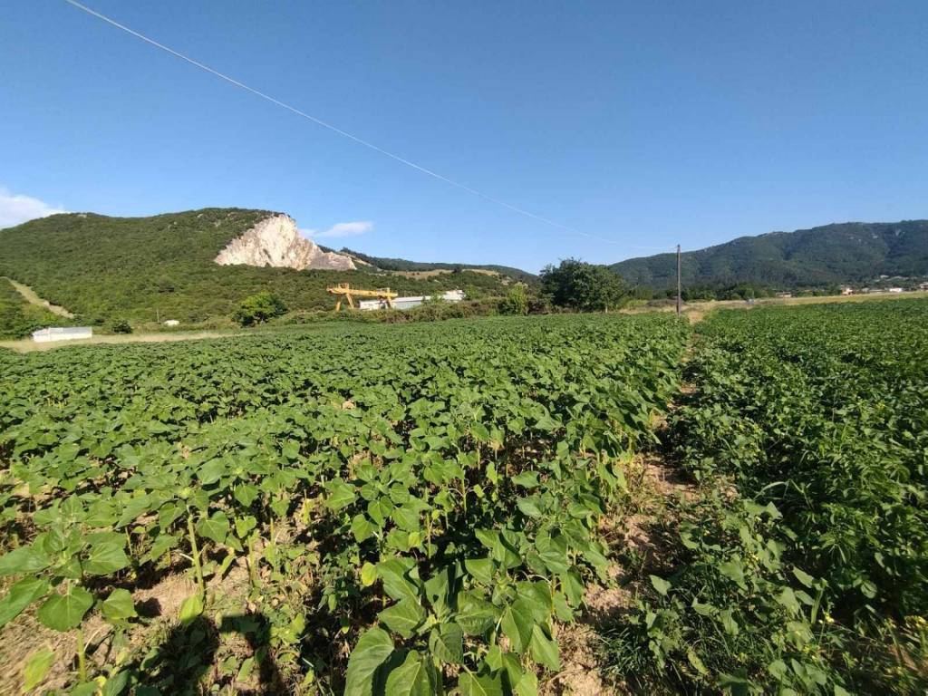 ΑΜΙΣΙΑΝΑ, ΚΑΒΑΛΑ, ΕΛΕΥΘΕΡΟΥΠΟΛΗ. ΠΩΛΕΙΤΑΙ ΑΓΡΟΤΕΜΑΧΙΟ 5875τ.