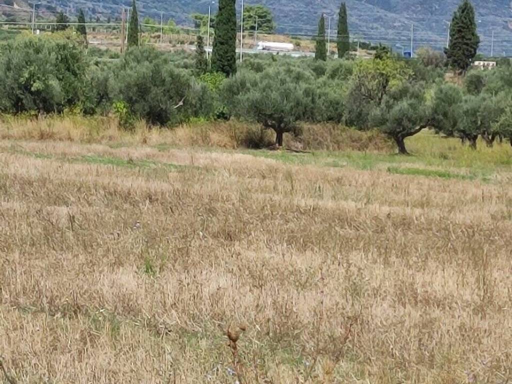 Αποψη χώρου