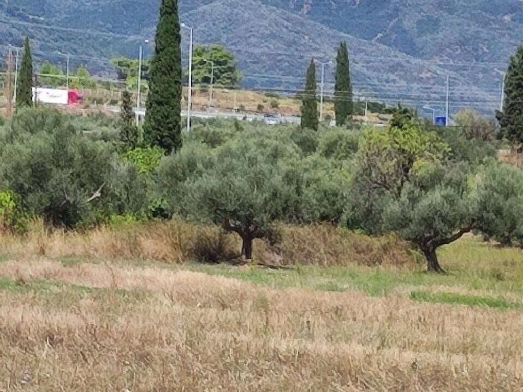 Αποψη χώρου