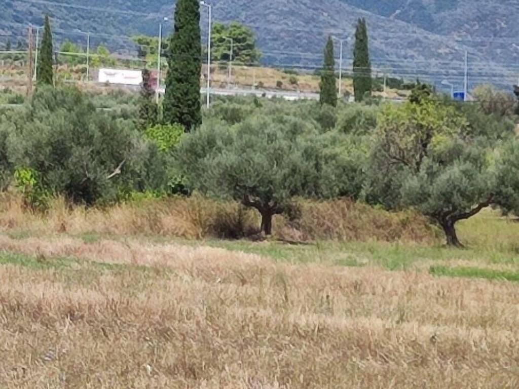 Αποψη χώρου