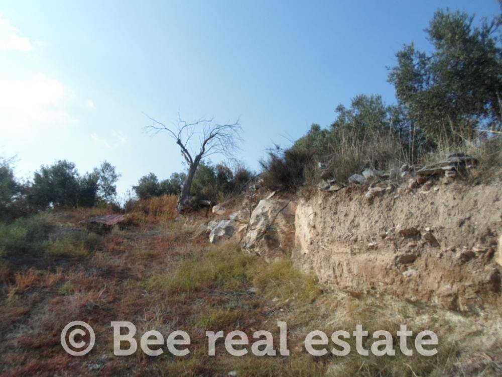 Άποψη εξωτερικού χώρου