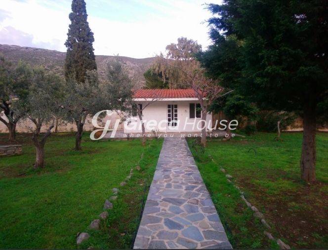 Sea Front Villa for Sale in Evia