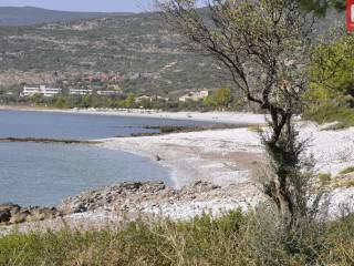 ΠΑΡΑΛΙΑ ΚΑΡΔΑΜΥΛΗΣ