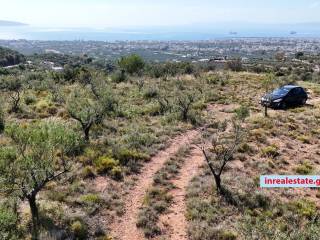 Aperioriste thea sto Messeniako  kai ten pole tes Kalamatas.