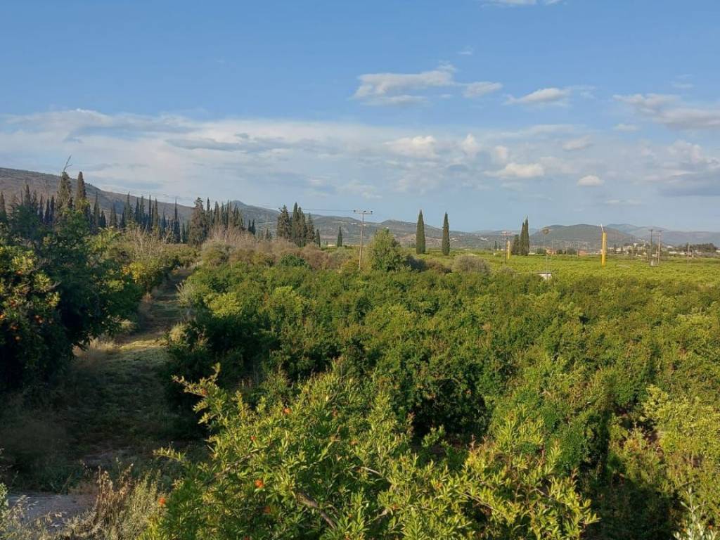 άρτιο και οικοδομήσιμο οικόπεδο