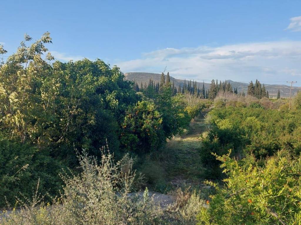 άρτιο και οικοδομήσιμο οικόπεδο