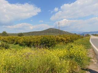 In the suburb of Nafplio are for sale land buildable 13,000