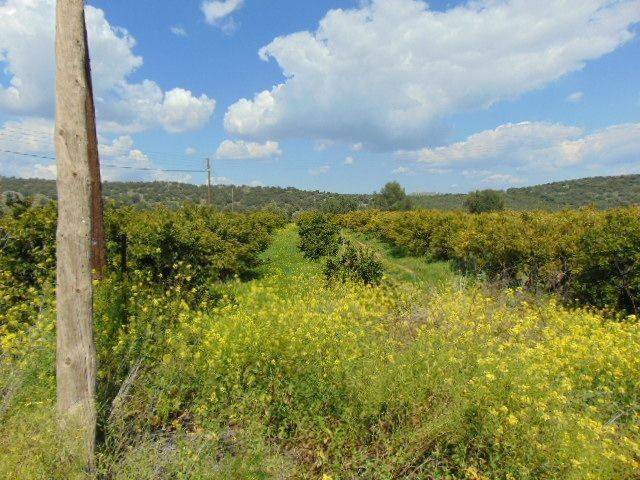 In the suburb of Nafplio are for sale land buildable 13,000