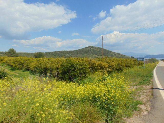 In the suburb of Nafplio are for sale land buildable 13,000