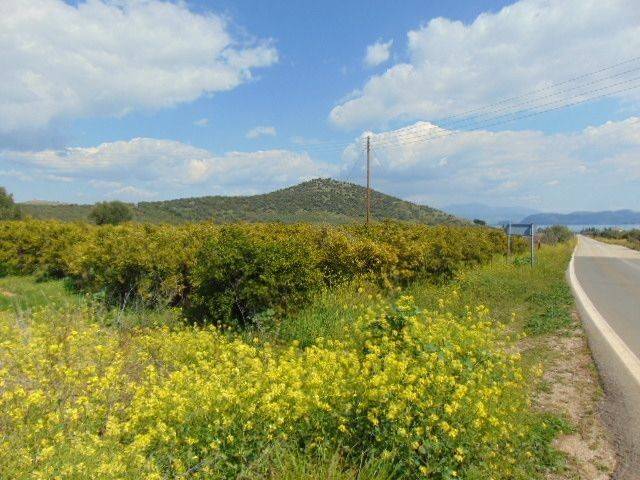 In the suburb of Nafplio are for sale land buildable 13,000