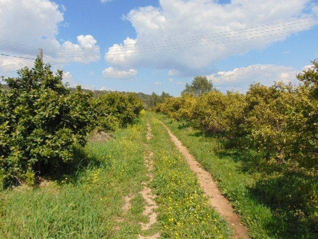 In the suburb of Nafplio are for sale land buildable 13,000