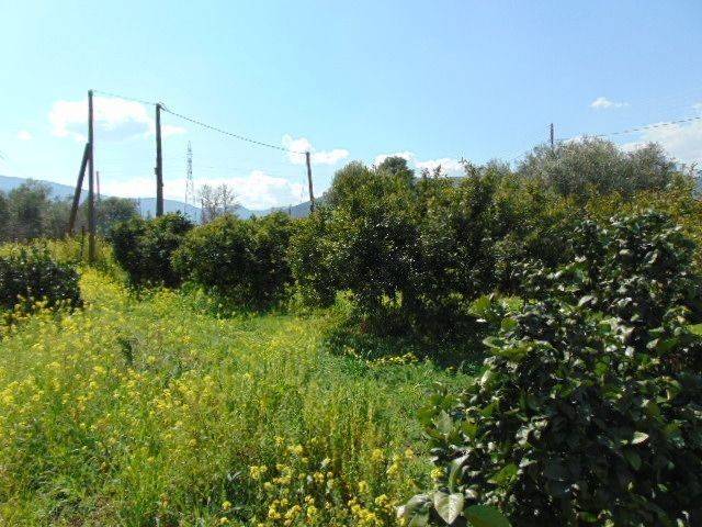 In the suburb of Nafplio are for sale land buildable 13,000