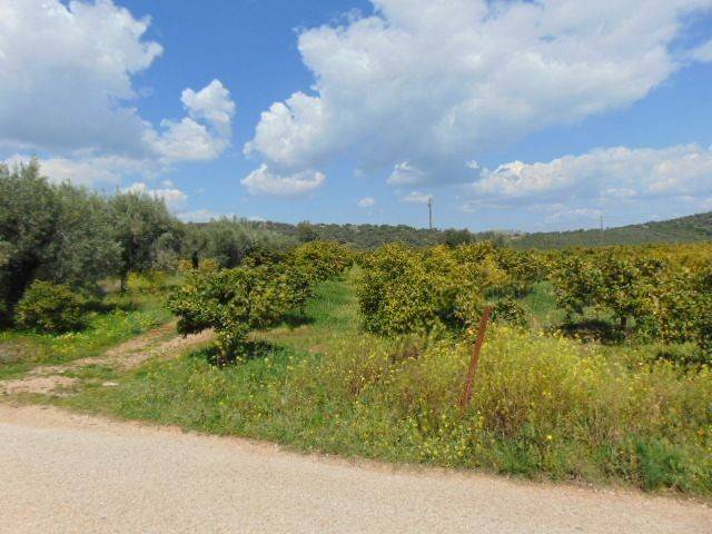 In the suburb of Nafplio are for sale land buildable 13,000