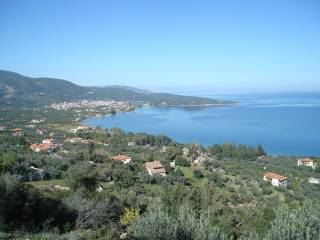 The property is sold at an early stage of construction