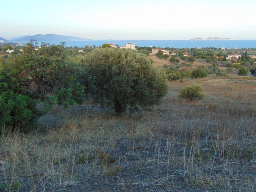 410 acres one-piece plot, 150 meters from famous beach,