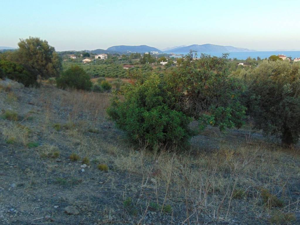 410 acres one-piece plot, 150 meters from famous beach,