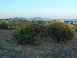 410 acres one-piece plot, 150 meters from famous beach,