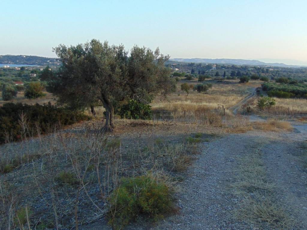 410 acres one-piece plot, 150 meters from famous beach,