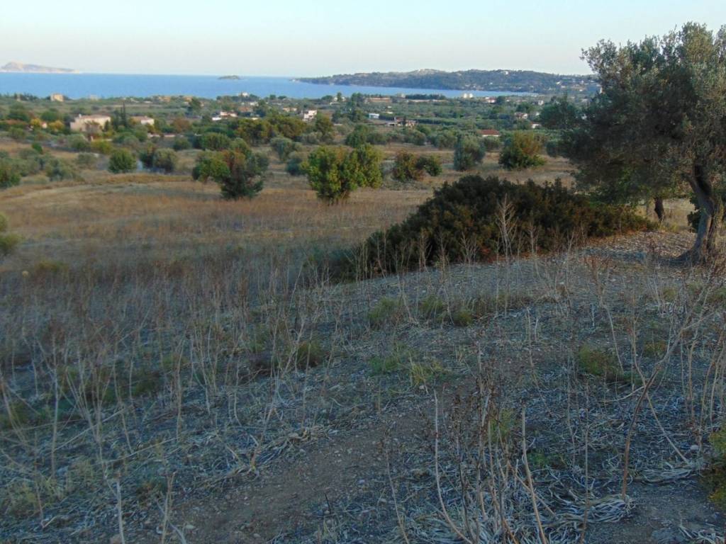 410 acres one-piece plot, 150 meters from famous beach,